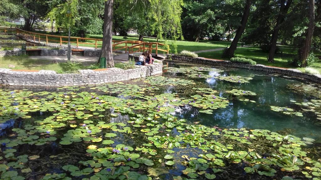 Margareta Vendeghaz Hotel Miskolc Ngoại thất bức ảnh